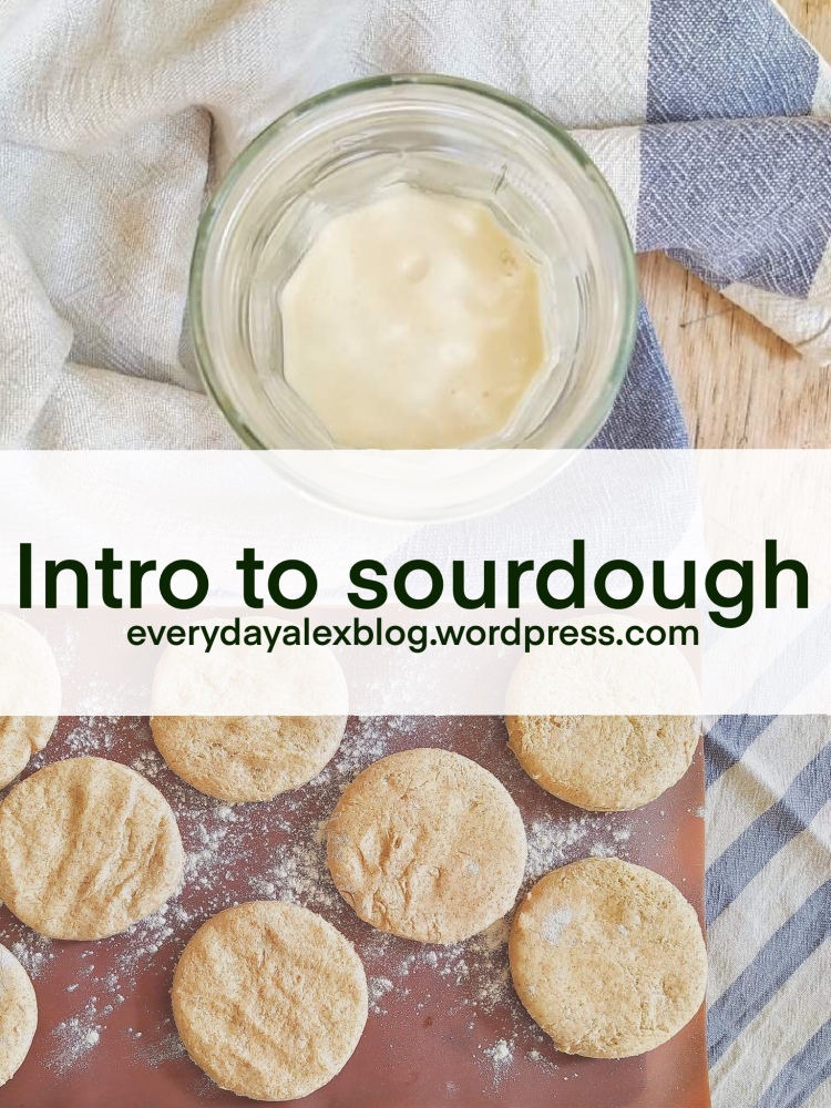 Introduction to sourdough
